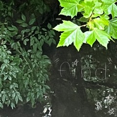 find