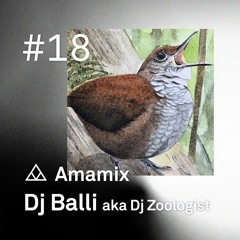 Amamix 18 - Dj Balli Aka Dj Zoologist