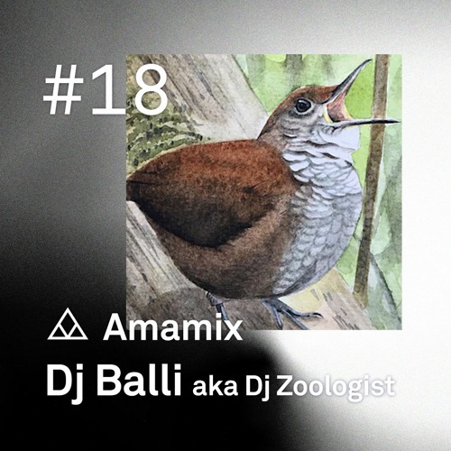 Amamix 18 - Dj Balli Aka Dj Zoologist