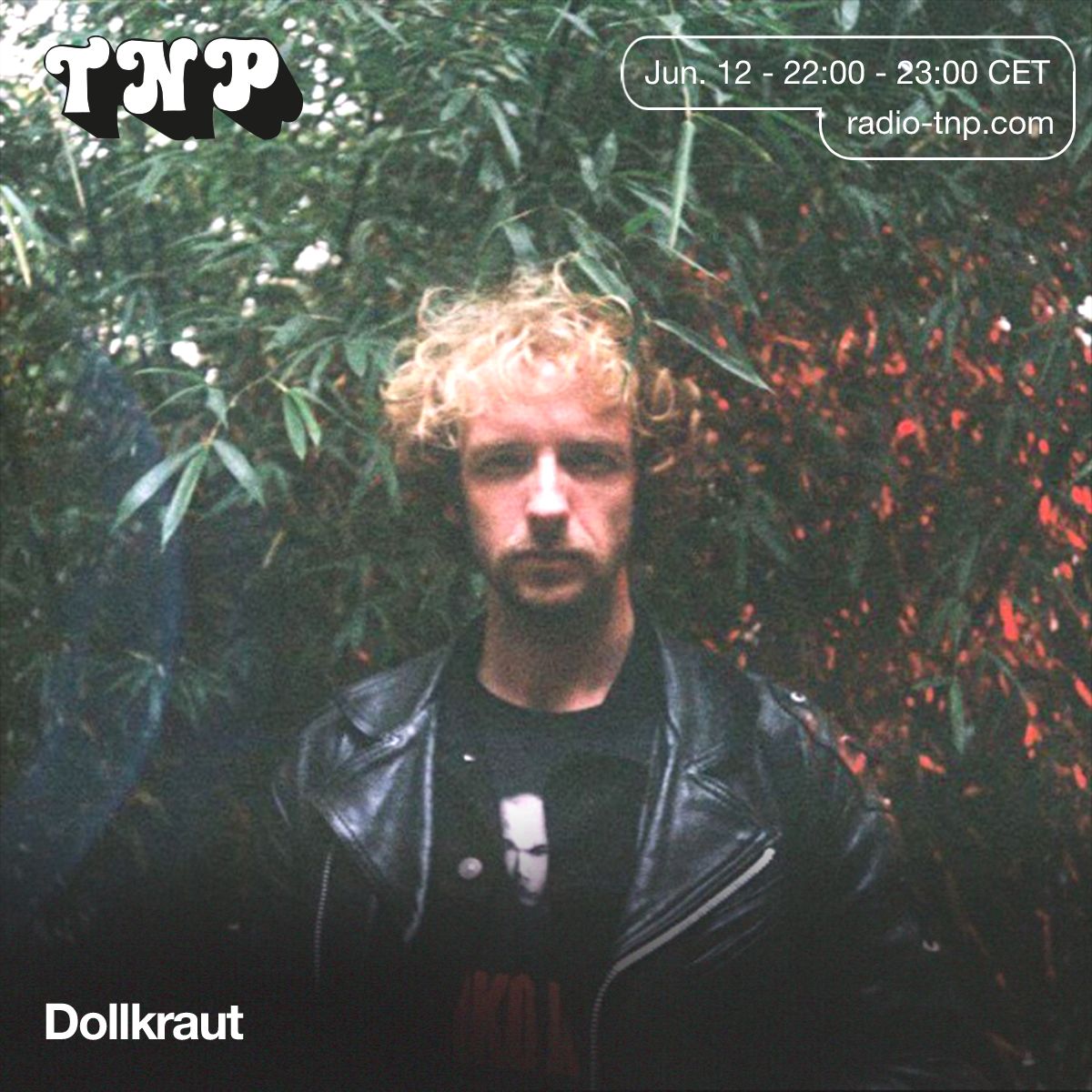 Dollkraut