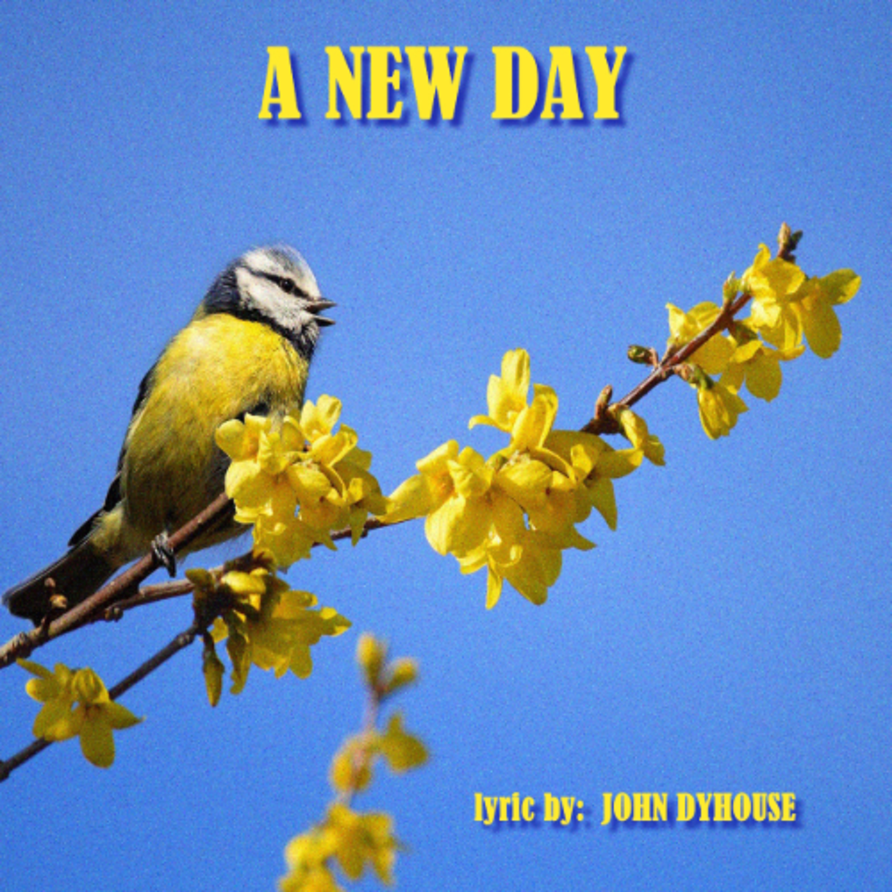A New Day