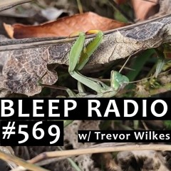 Bleep Radio #569 w/ Trevor Wilkes [It Bit My Head Off]