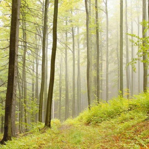და background music for presentation DOWNLOAD