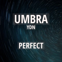 Perfect (prod. by discent x 5head)
