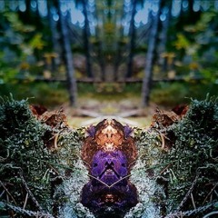 Triangulum "SpaceJungle" part 2