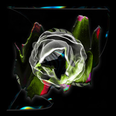 Techno Melodic & Deep
