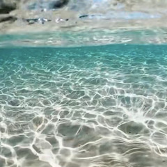 The Wellermen (version from tiktok)