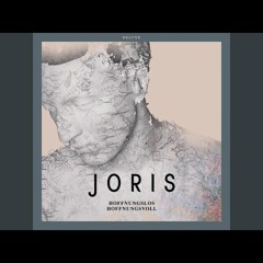 Joris - Sommerregen (BRT Remix) [Techno]