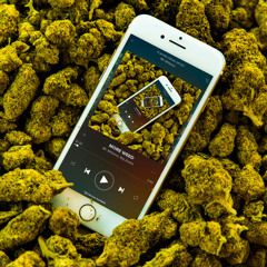More Weed (feat. Big Zeeks)