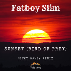 Fatboy Slim - Sunset (Bird of Prey)(Nicky Havey remix)