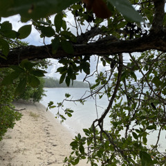 Nada Es Más Precioso