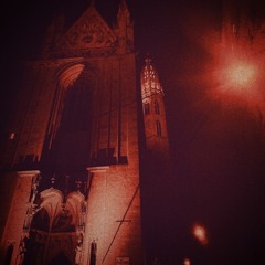 The Flower Across The Ocean