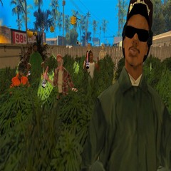 Mi Mision (Backwood Freestyle Tape)