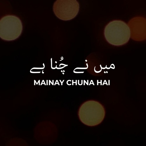 Mainay Chunaa Hai