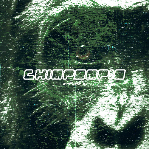 Chimp Empire
