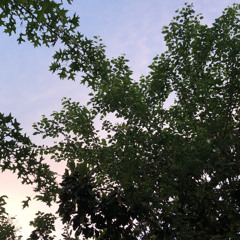 PoseidonXwave - The Format Remix feat. Nino (GMR BABY) prod. by sarato