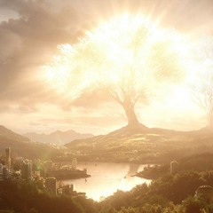 The Light