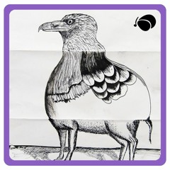 TEAM RYAN LOTT — Exquisite Corpse Project (Jeremy Young "Birdland" Edit)