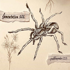 Was it all just to say goodbye