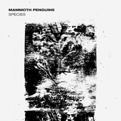 Mammoth Penguins - Here - Species