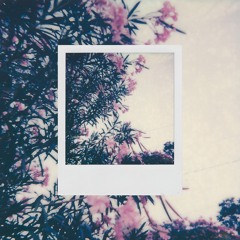 Chulita Ojitos - Paloma en Vuelo