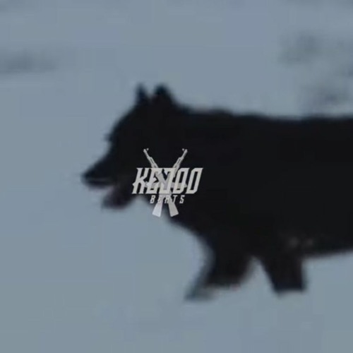 kejoo beats - börü 2
