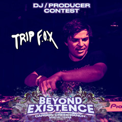 Trip f.o.x - Beyond Existence 2023 Mix Submission