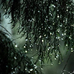 rainy days (prod. Neonwrld)