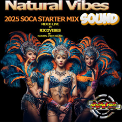 NATURAL VIBES SOUND 2025 SOCA STARTER MIX