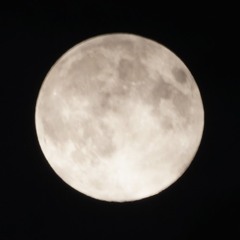 White coat decievers-01