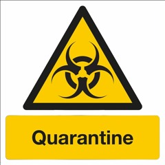 QuarantineTingz