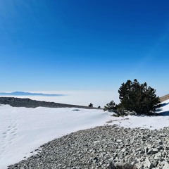 U+Me were made to be