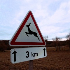 Carnet de résidence 2 | N° Zéro | vers Lardiers