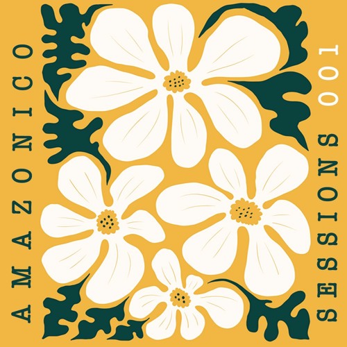 HAMDI - Amazonico Sessions 001