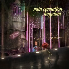 Rain Carnation - Kingdom
