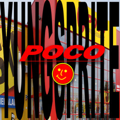 Poco Domäne