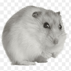 codziennie cash (prod. awakeagain)