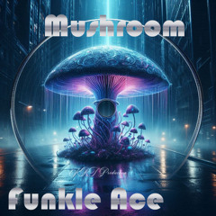 Mushroom - KRT Production