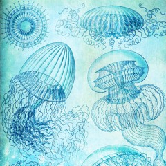 Leptomedusæ ✴︎ Dreamwave