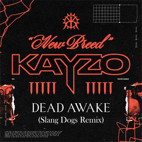 KAYZO x Banshee - DEAD AWAKE (Slang Dogs Remix)