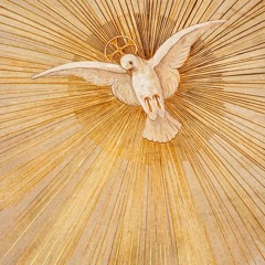 плохо от крови prod giordan