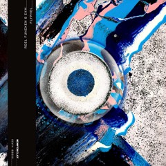 Roel Funcken & exm - Flyphel - 2x12" (SCV14)