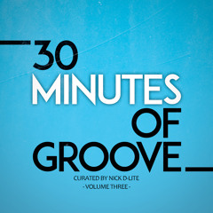 30 MINUTES OF GROOVE - VOLUME THREE / curated by Nick D-Lite