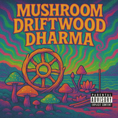 MUSHROOM DRIFTWOOD DHARMA