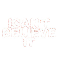 ICan’t Believe It
