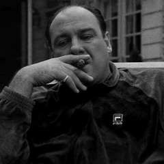 tony soprano x  a dream by flatsound