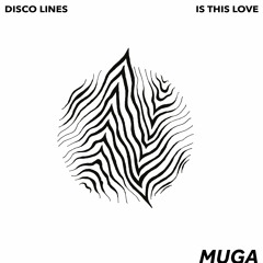 Disco Lines - Is This Love