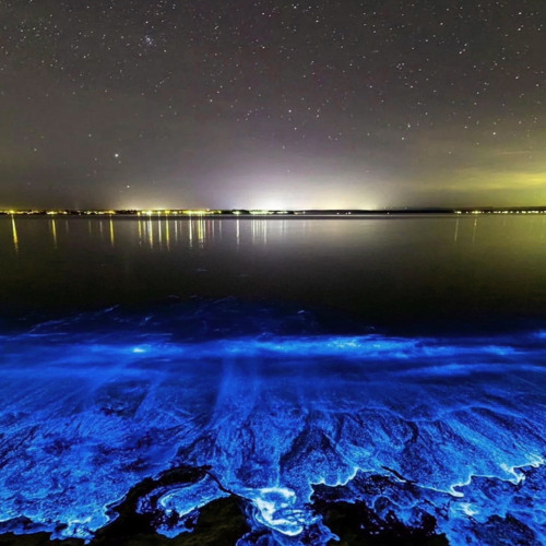 How ya doin?[cavitnak+exchains]