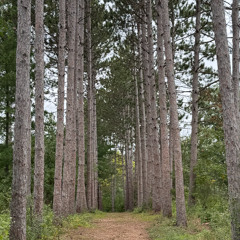 Blaze and Haze - MWN ft FK