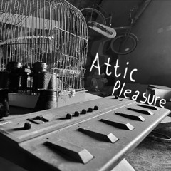 Attic Pleasure 11.11.22